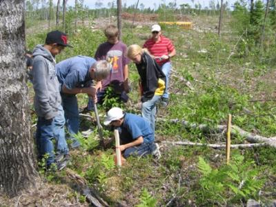 Crossroads School planted trees and used a seine net to do an aquatic study. (2011)