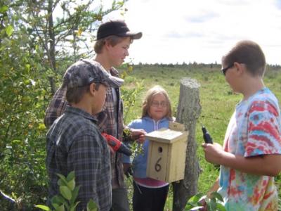 Members of the Get Outdoors Club checked the birdhouses and repaired any that needed to be fixed. (2011)